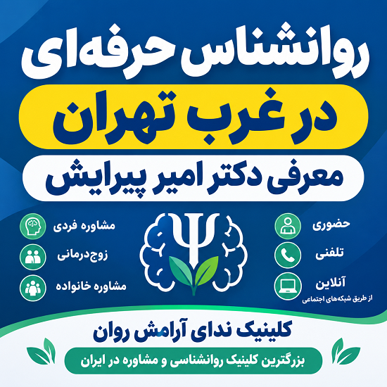 روانشناس حرفه‌ای در غرب تهران | معرفی دکتر امیر پیرایش + مشاوره روانشناسی تلفنی